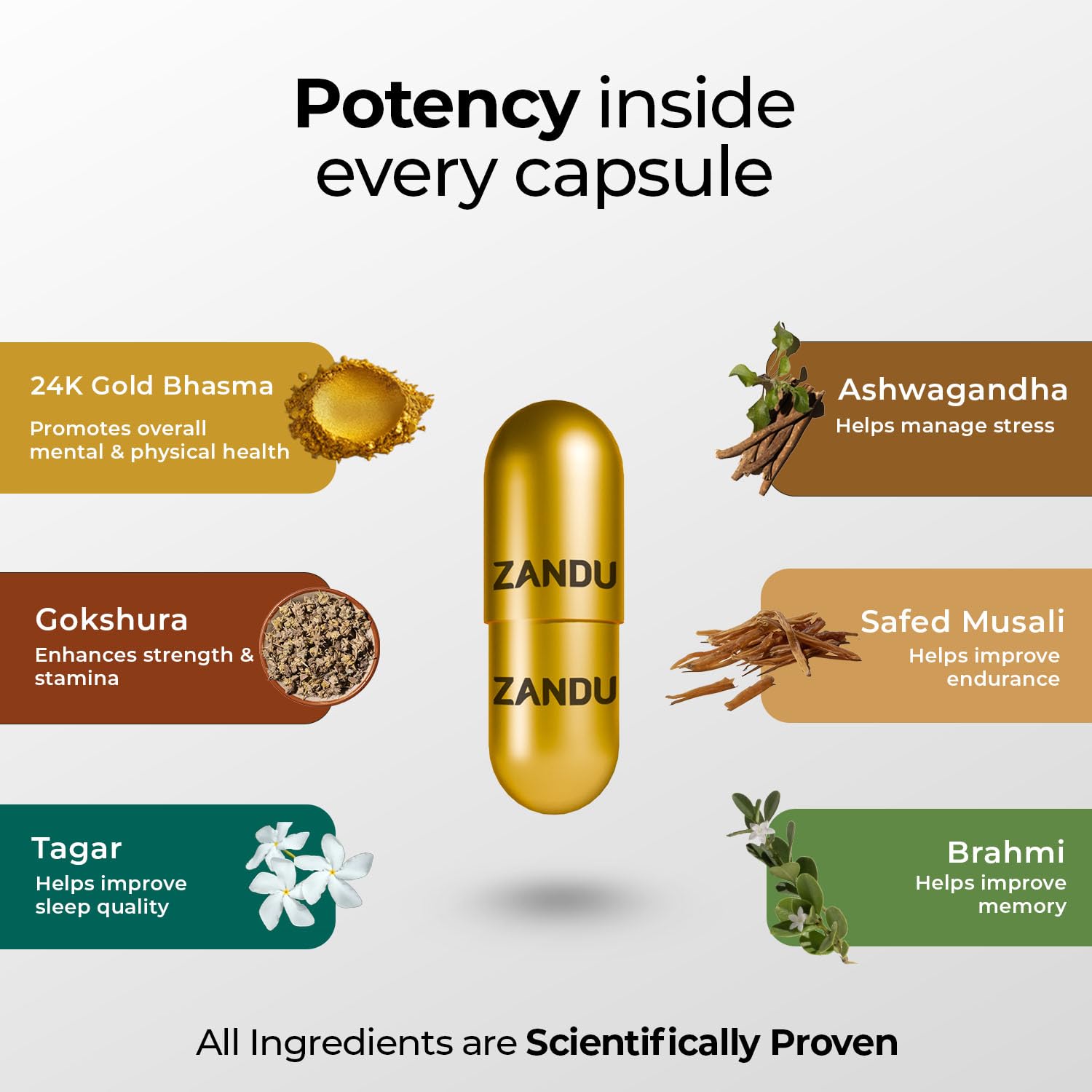 Zandu Ashwagandha Gold Plus Capsules 60 – Withania somnifera