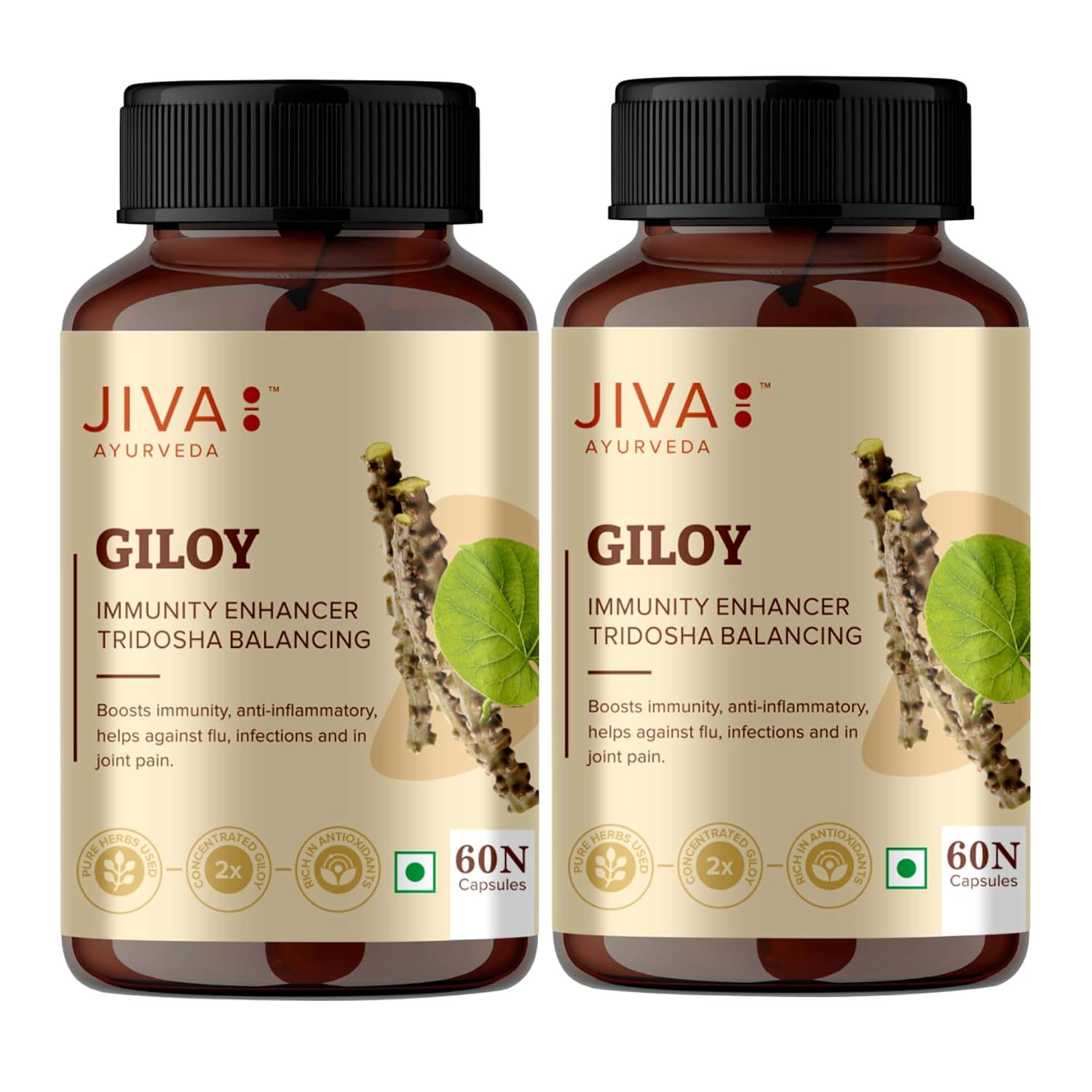 Jiva Giloy Capsules 60 – Tinospora cordifolia