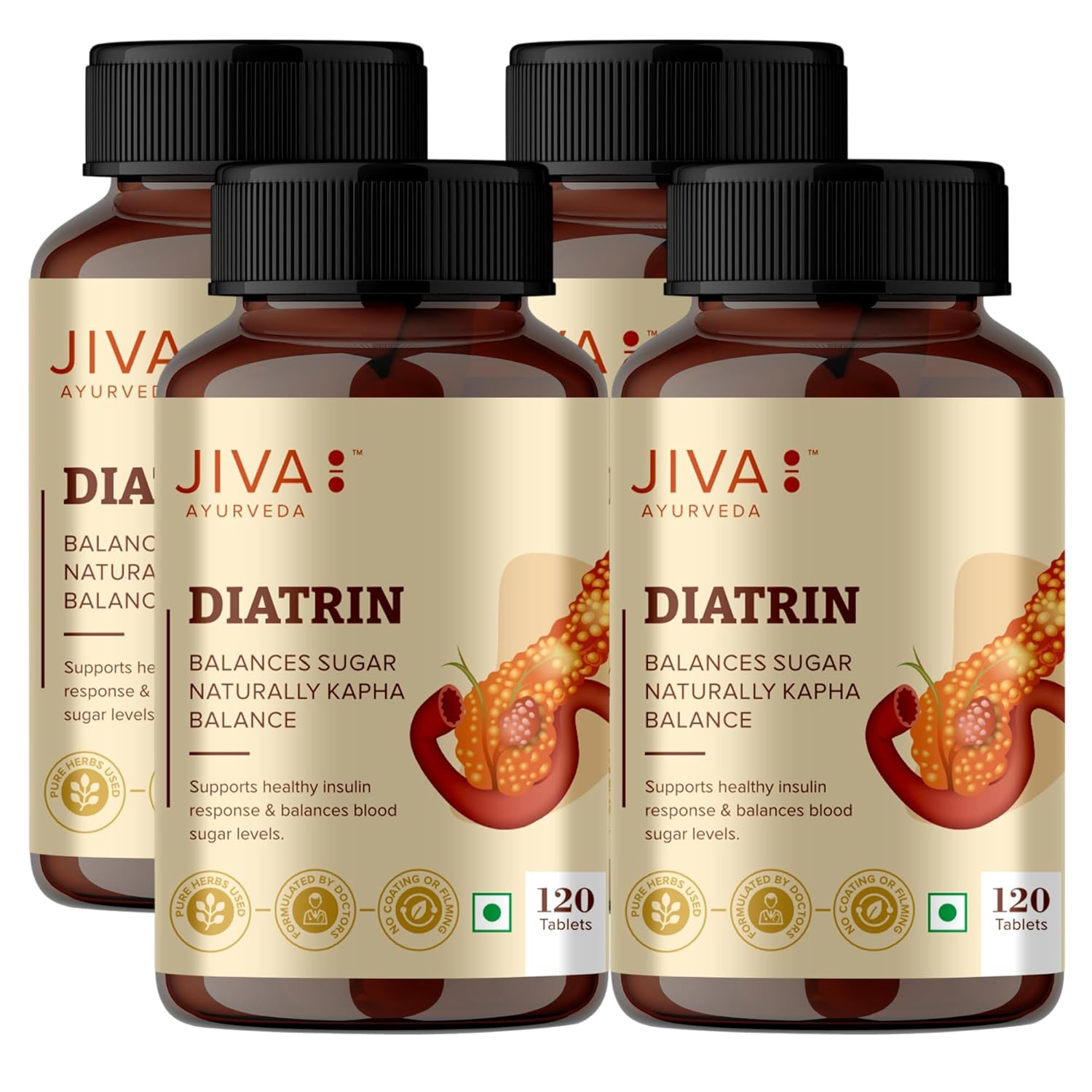 Jiva Diatrin Tablets 120 – Ayurvedic Herb