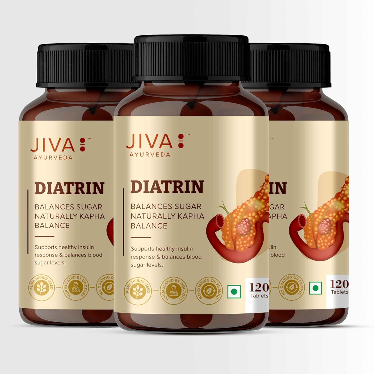 Jiva Diatrin Tablets 120 – Ayurvedic Herb