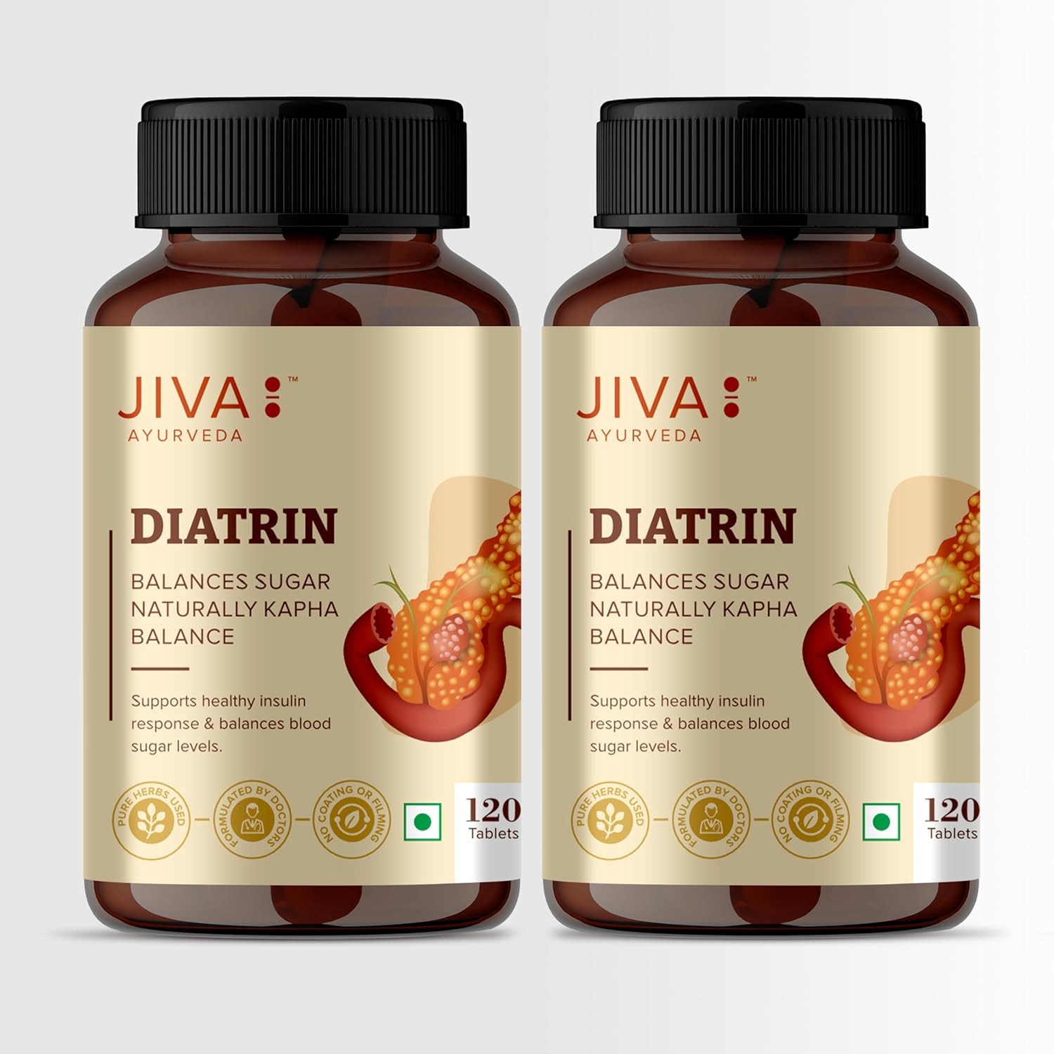 Jiva Diatrin Tablets 120 – Ayurvedic Herb