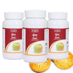 Tansukh Bael Churna — Powder 100g – Ayurvedic Herb