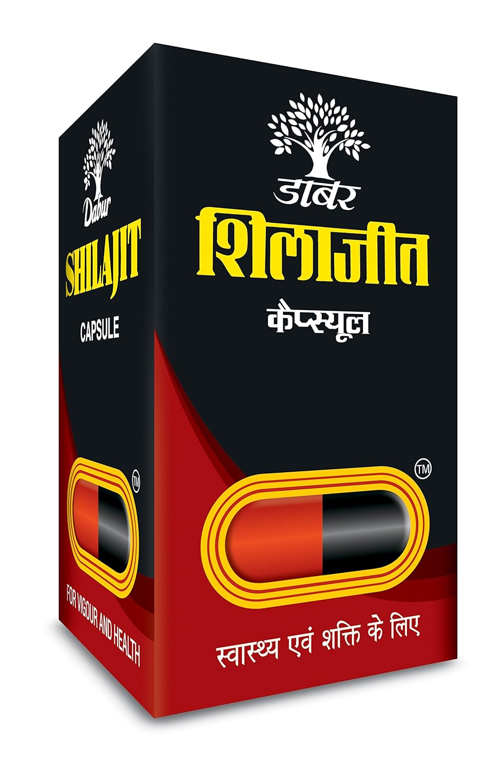Dabur Ayurvedic Shilajit — Capsules 100 – Asphaltum punjabianum