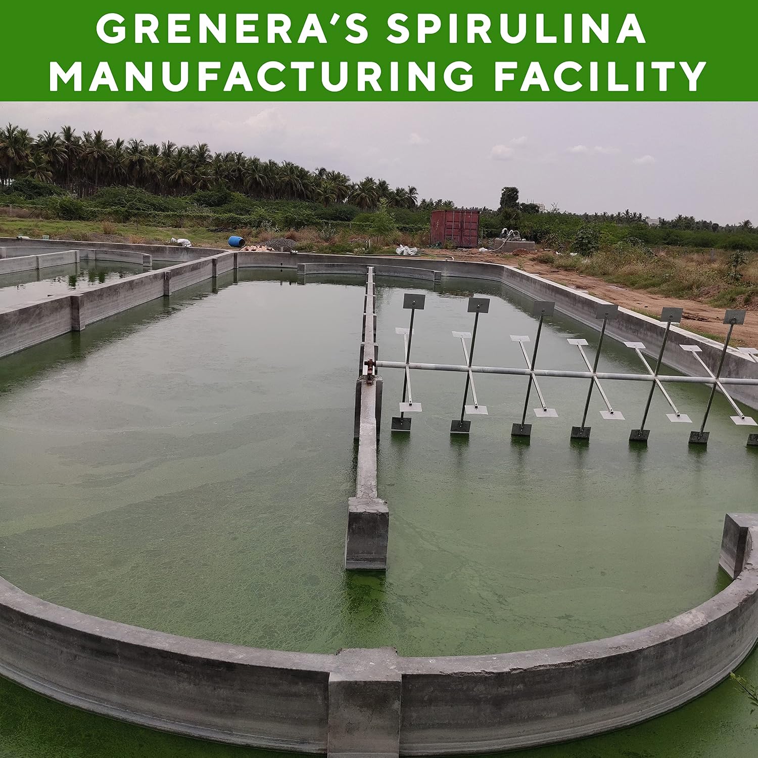 Grenera Spirulina 1000mg Capsules 90 – Arthrospira platensis